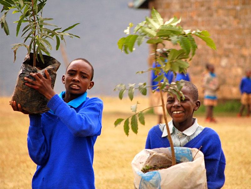 two boys holding seedlings ready to be planted in Tanzania